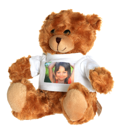 Teddy