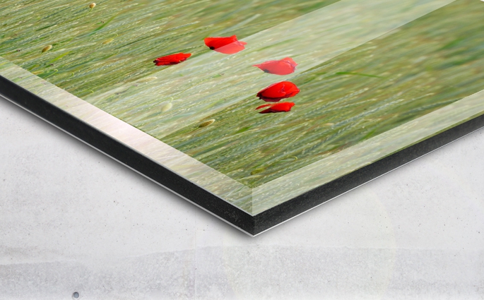 Acryl auf AluBond